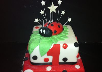 Ladybird Cake