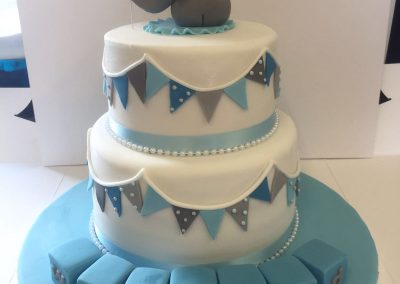 Two Tier Elephant and Blocks Cake