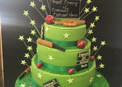 Cricket Theme Cake