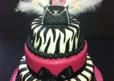 Black and White Zebra